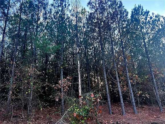 1.256 Acres of Residential Land for Sale in Broken Bow, Oklahoma