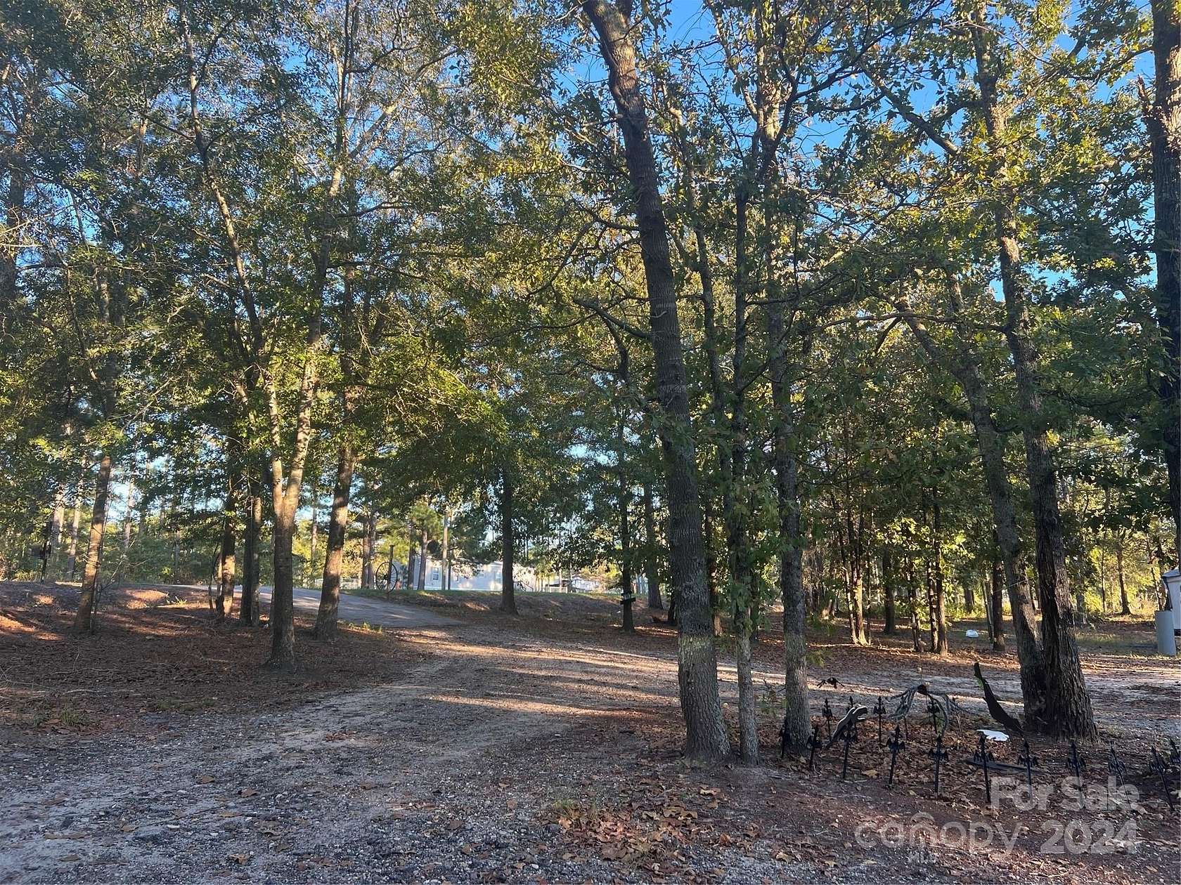 2.44 Acres of Residential Land with Home for Sale in Mount Croghan, South Carolina