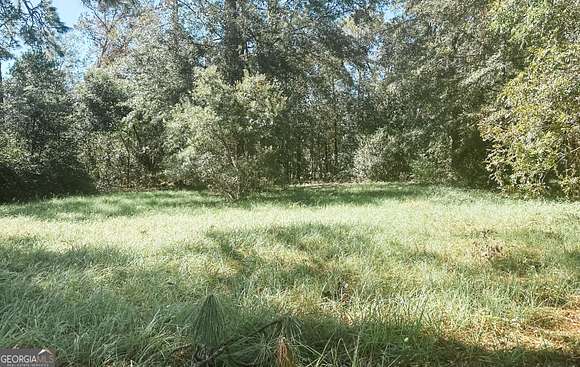 0.24 Acres of Residential Land for Sale in Jesup, Georgia