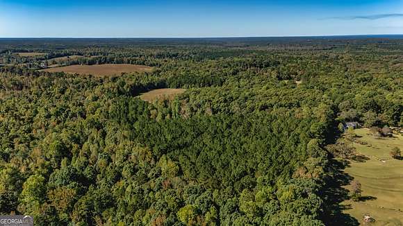 54 Acres of Land for Sale in Moreland, Georgia