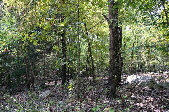 0.51 Acres of Residential Land for Sale in Horseshoe Bend, Arkansas