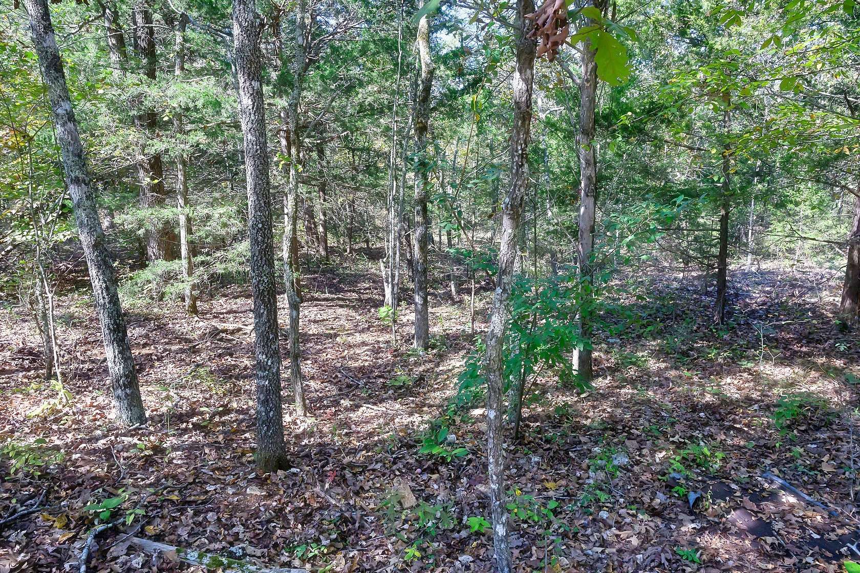 0.32 Acres of Residential Land for Sale in Horseshoe Bend, Arkansas