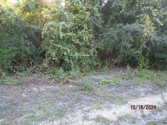 0.12 Acres of Residential Land for Sale in Carrabelle, Florida