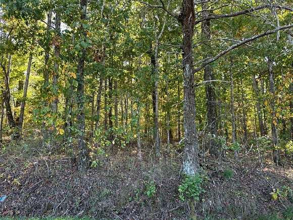 17.31 Acres of Land for Sale in Dayton, Tennessee