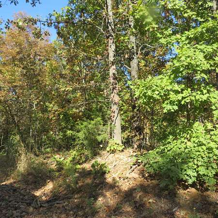 1 Acre of Land for Sale in West Plains, Missouri