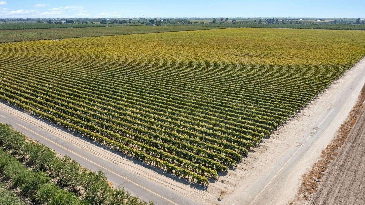 153.95 Acres of Agricultural Land with Home for Sale in Madera, California