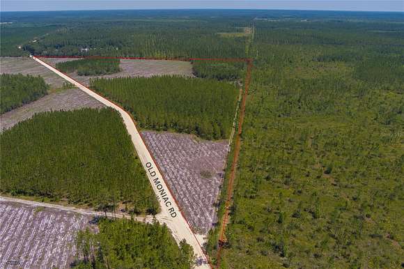 35.54 Acres of Recreational Land for Sale in Saint George, Georgia