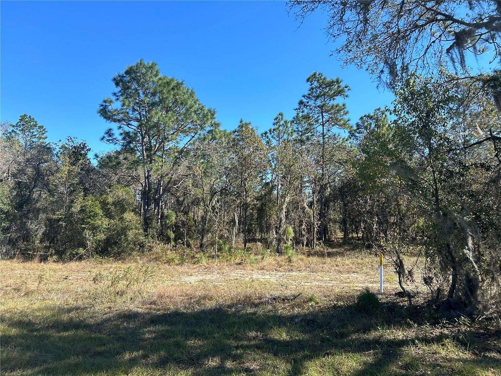 6.66 Acres of Residential Land for Sale in Morriston, Florida