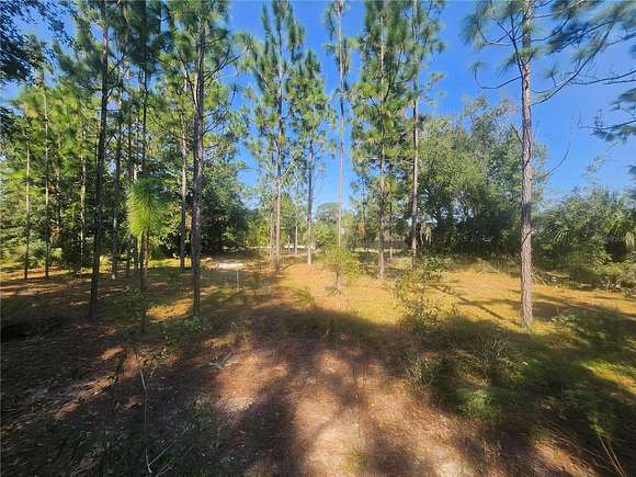 0.24 Acres of Residential Land for Sale in Belleview, Florida