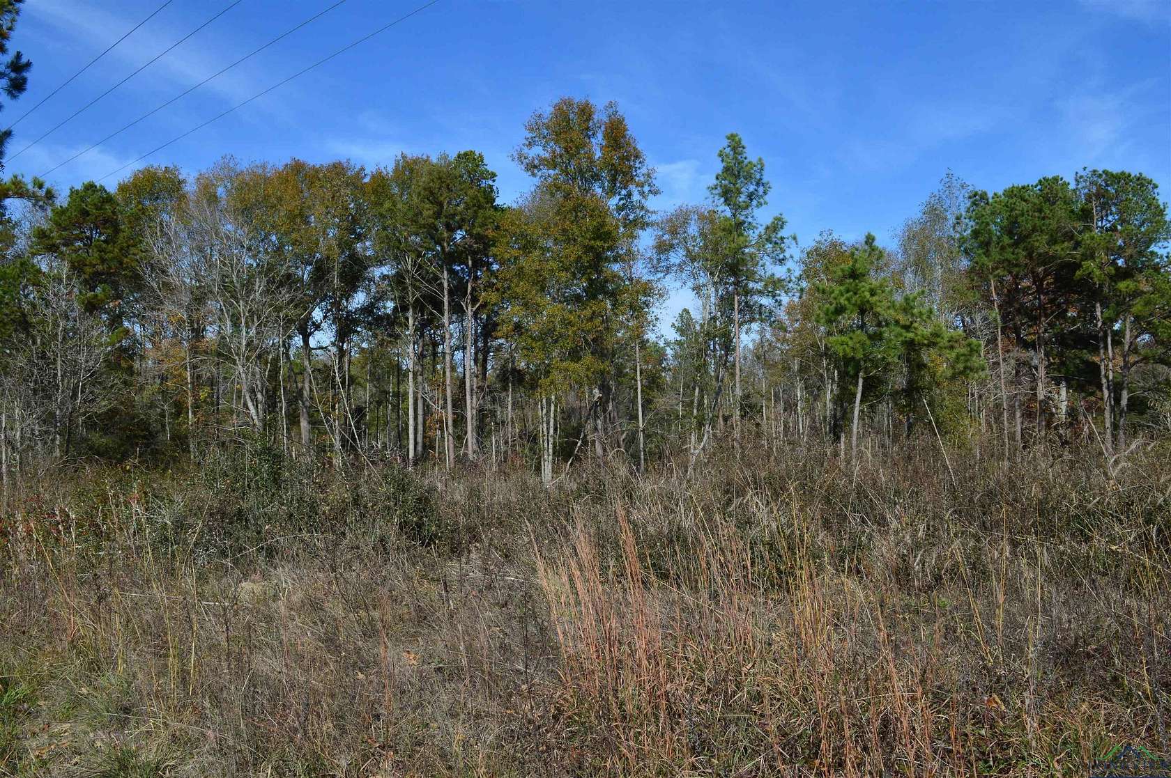 13.1 Acres of Land for Sale in Jefferson, Texas