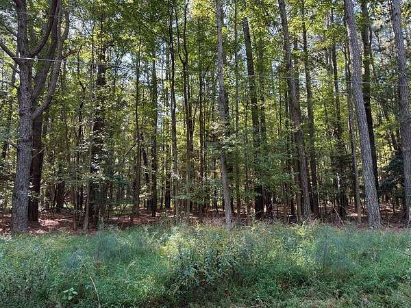 0.83 Acres of Residential Land for Sale in Kilmarnock, Virginia