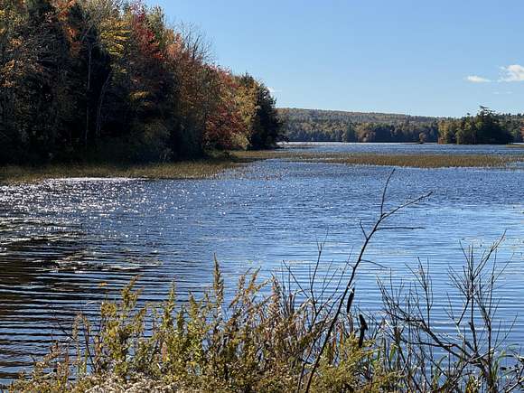 1.27 Acres of Residential Land for Sale in Freedom, Maine