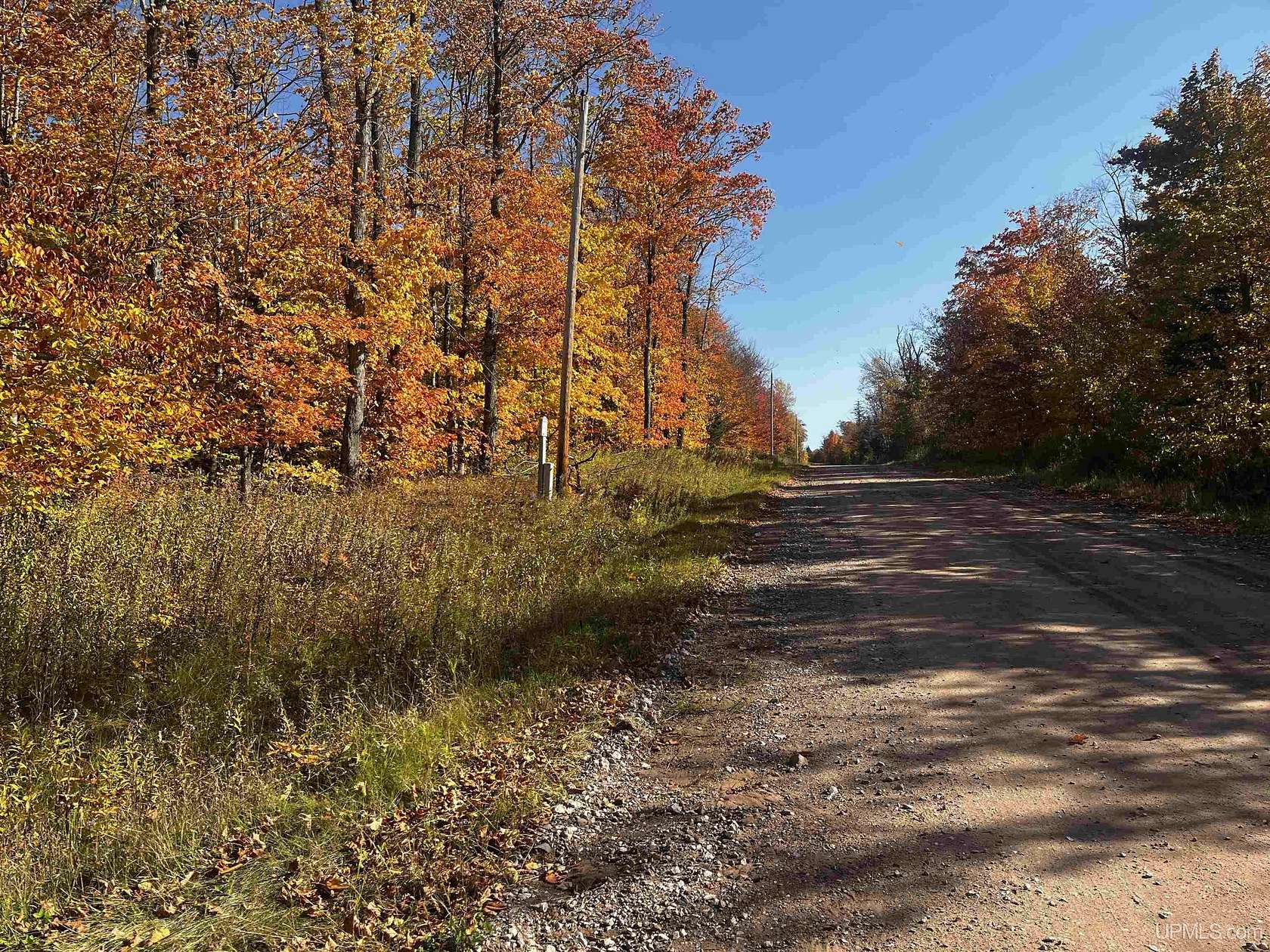 40 Acres of Land for Sale in Skandia, Michigan