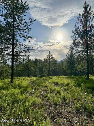 5.64 Acres of Residential Land for Sale in Rathdrum, Idaho