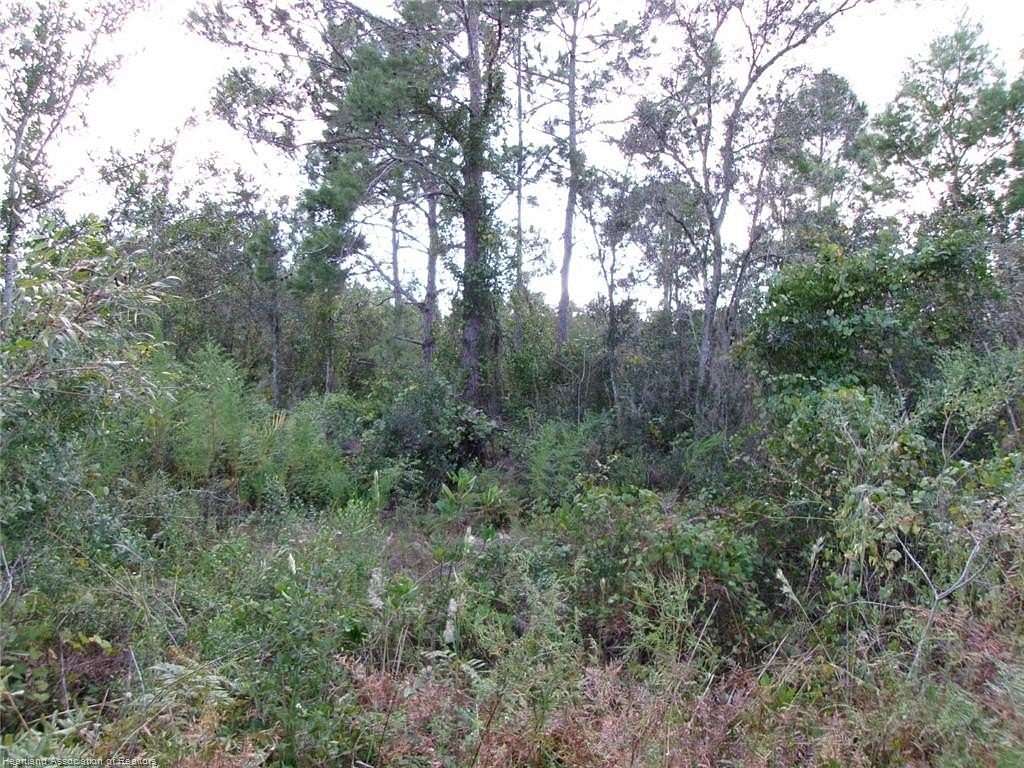 0.52 Acres of Residential Land for Sale in Sebring, Florida