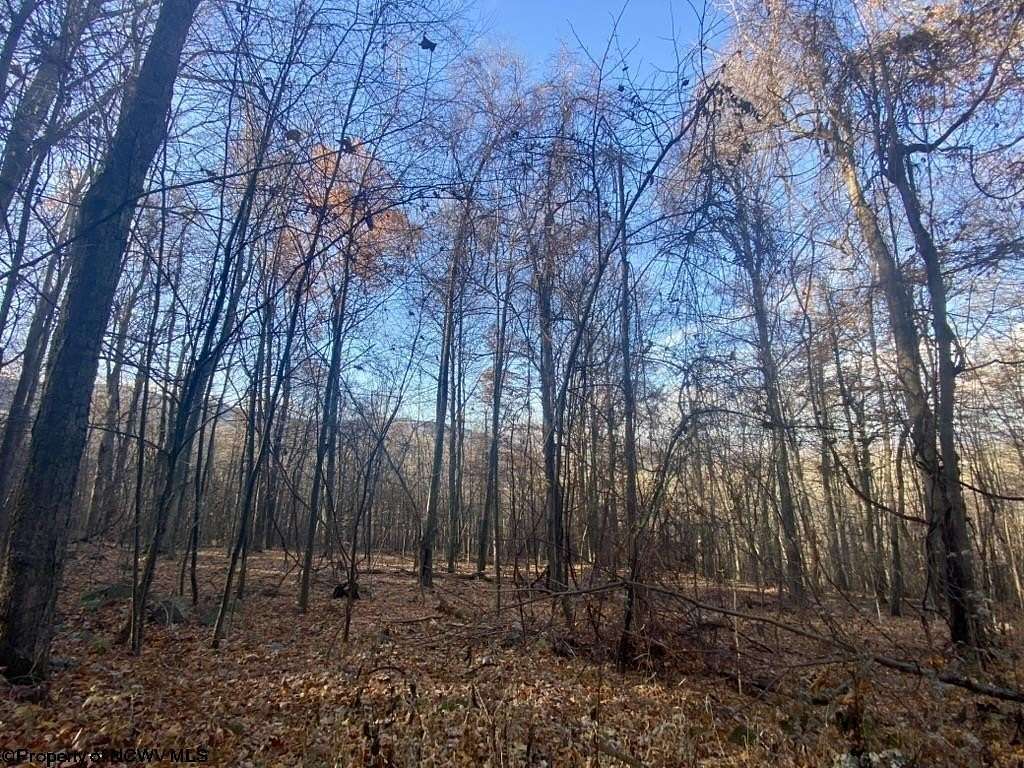 2.03 Acres of Residential Land for Sale in Dryfork, West Virginia