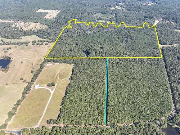 79 Acres of Recreational Land for Sale in Huntsville, Texas