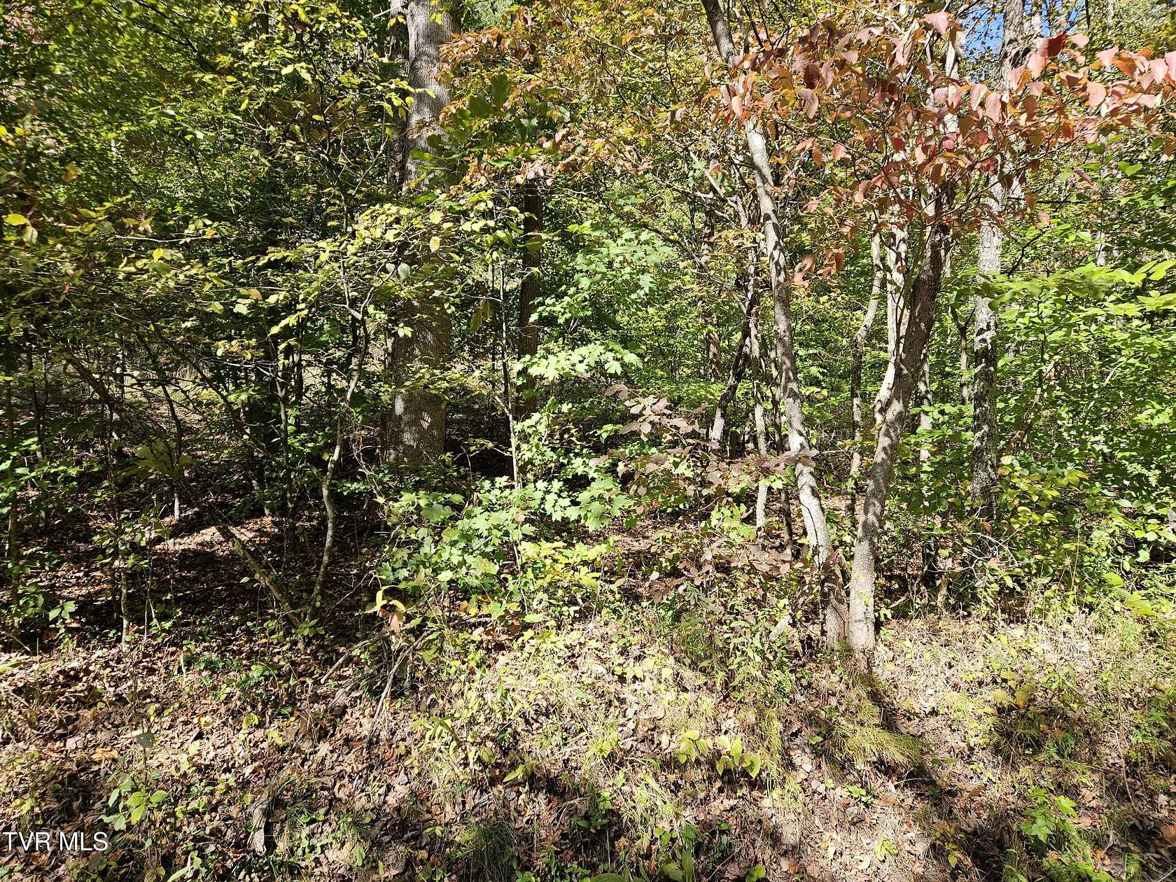 18.73 Acres of Land for Sale in Rogersville, Tennessee