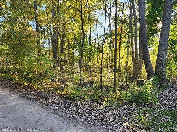 0.32 Acres of Residential Land for Sale in Hamburg Township, Michigan