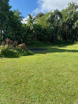 0.209 Acres of Residential Land for Sale in Pahoa, Hawaii