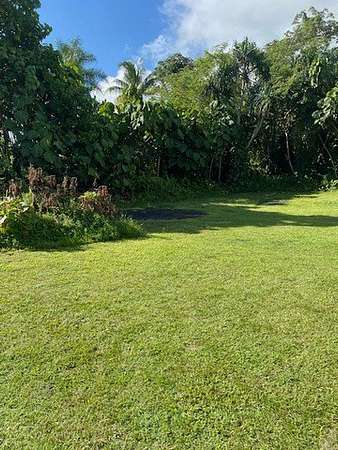 0.21 Acres of Residential Land for Sale in Pahoa, Hawaii