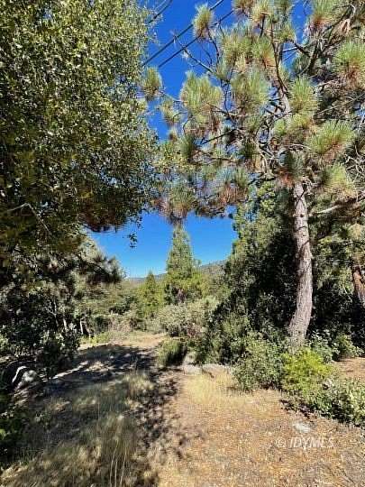 1.92 Acres of Residential Land for Sale in Idyllwild, California