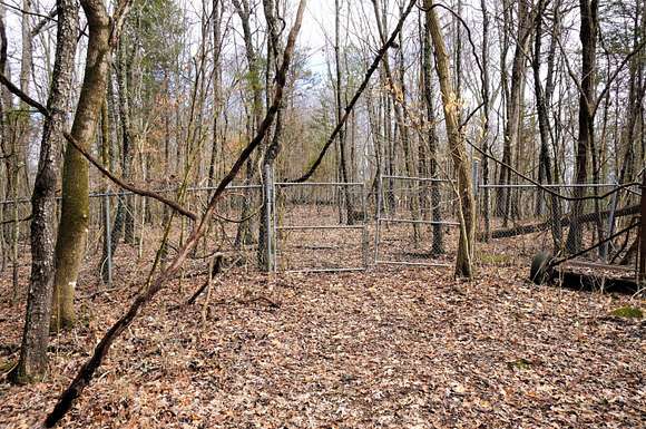 24.18 Acres of Recreational Land & Farm for Sale in Dandridge, Tennessee