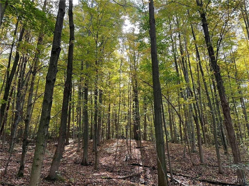 65.49 Acres of Recreational Land for Sale in Conesus, New York