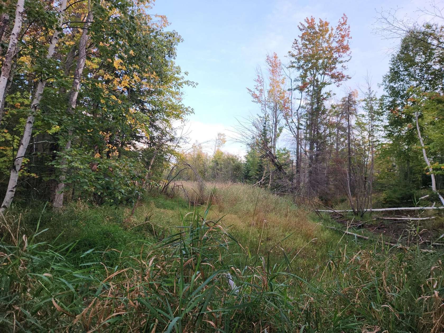 39 Acres of Recreational Land for Sale in Ontonagon Township, Michigan