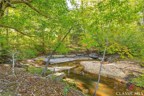 79 Acres of Recreational Land & Farm for Sale in Carlton, Georgia