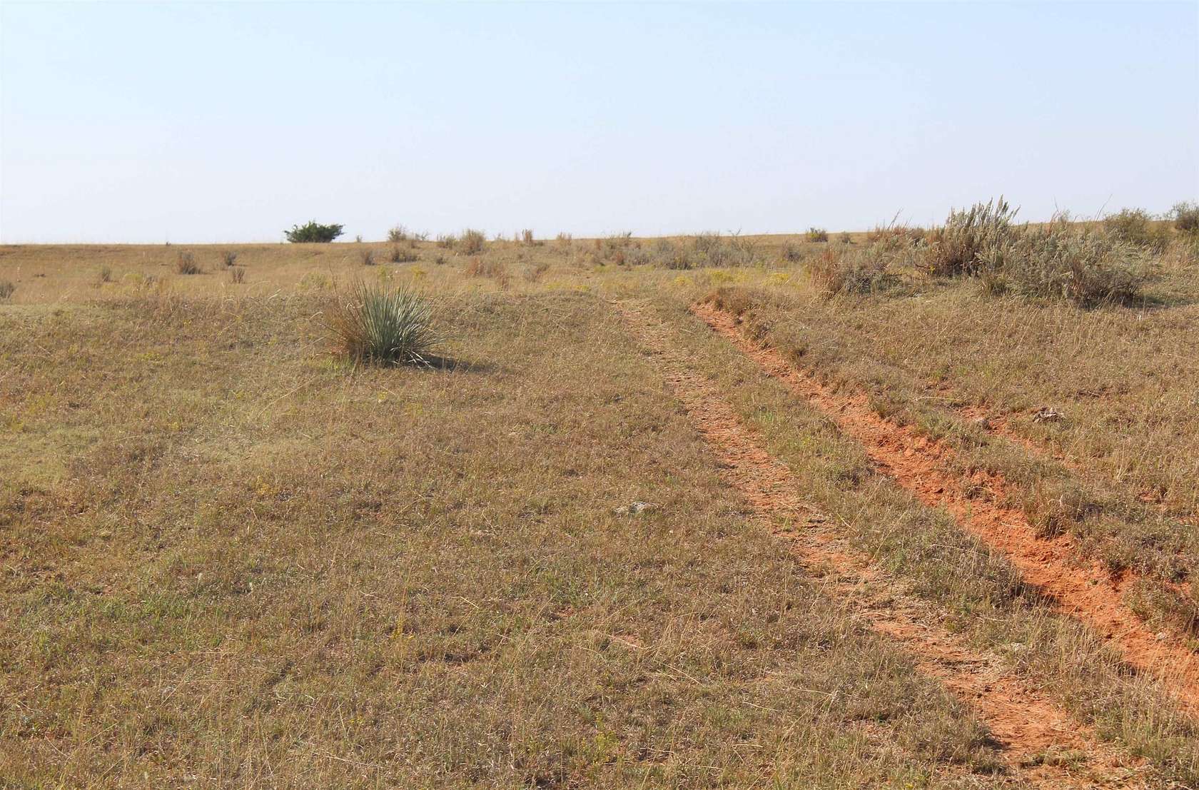 160.69 Acres of Agricultural Land for Sale in Fort Supply, Oklahoma