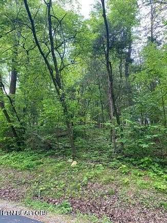 0.33 Acres of Residential Land for Sale in Loudon, Tennessee