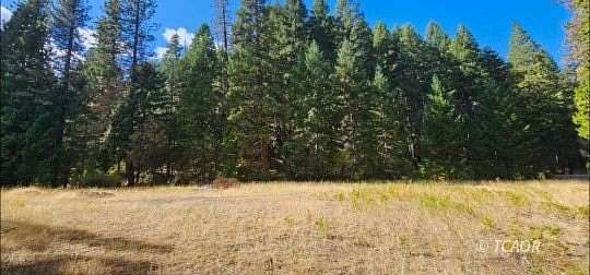 2.5 Acres of Land for Sale in Hayfork, California