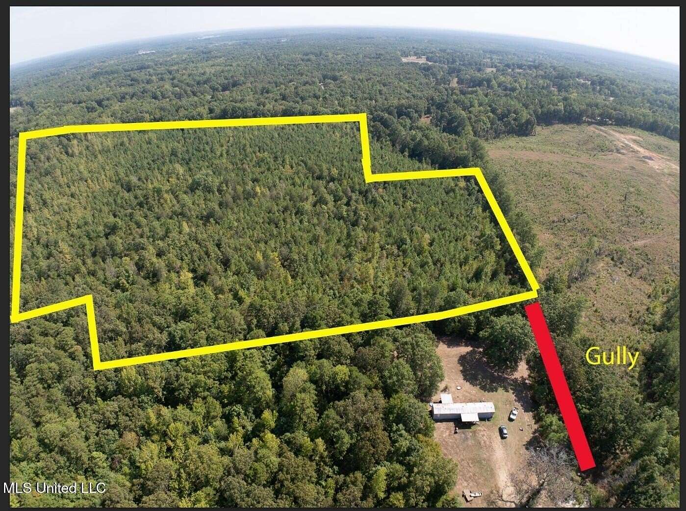 43.3 Acres of Land for Sale in Blue Mountain, Mississippi