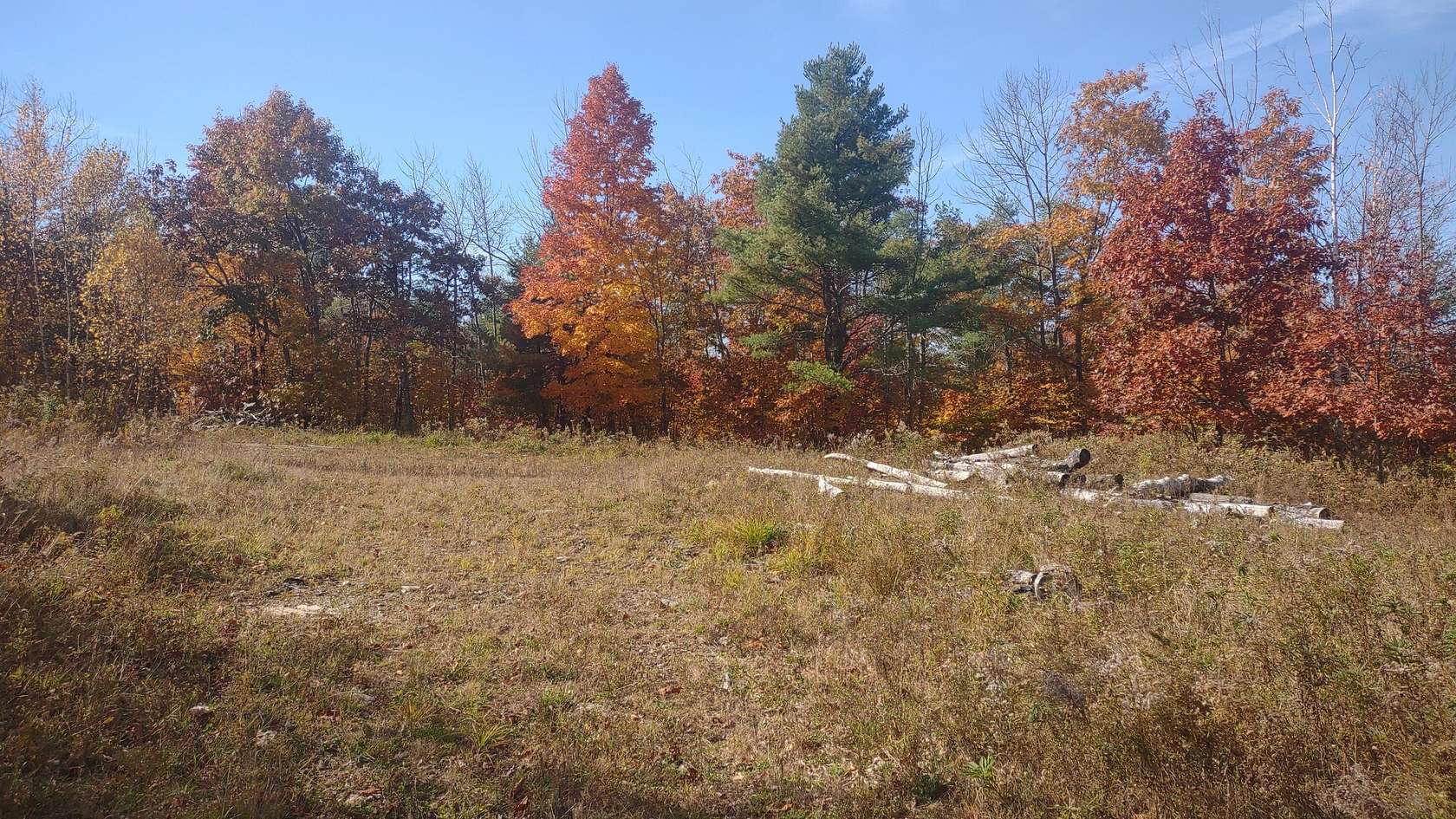 35.8 Acres of Land for Sale in Fayette, Maine