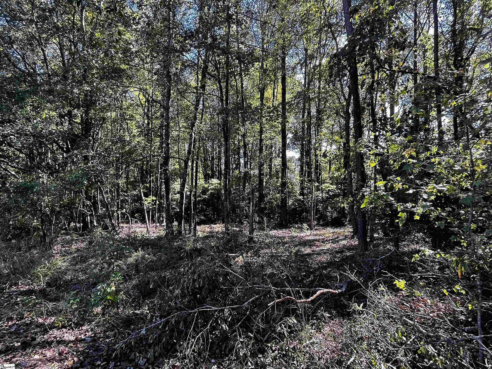 0.4 Acres of Residential Land for Sale in Williamston, South Carolina