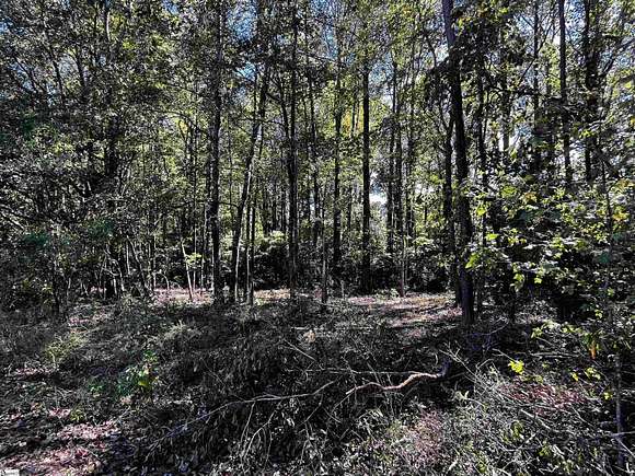 0.4 Acres of Residential Land for Sale in Williamston, South Carolina