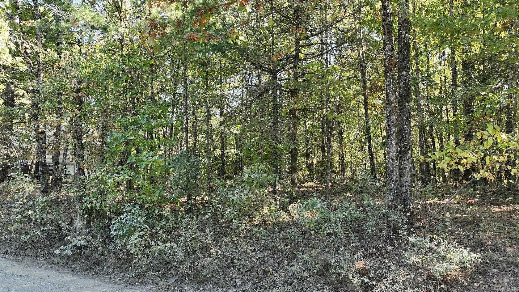 2 Acres of Land for Sale in Wickes, Arkansas