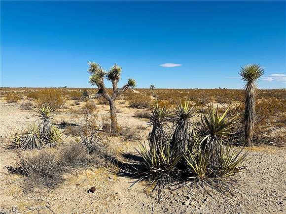 3.71 Acres of Land for Sale in Joshua Tree, California