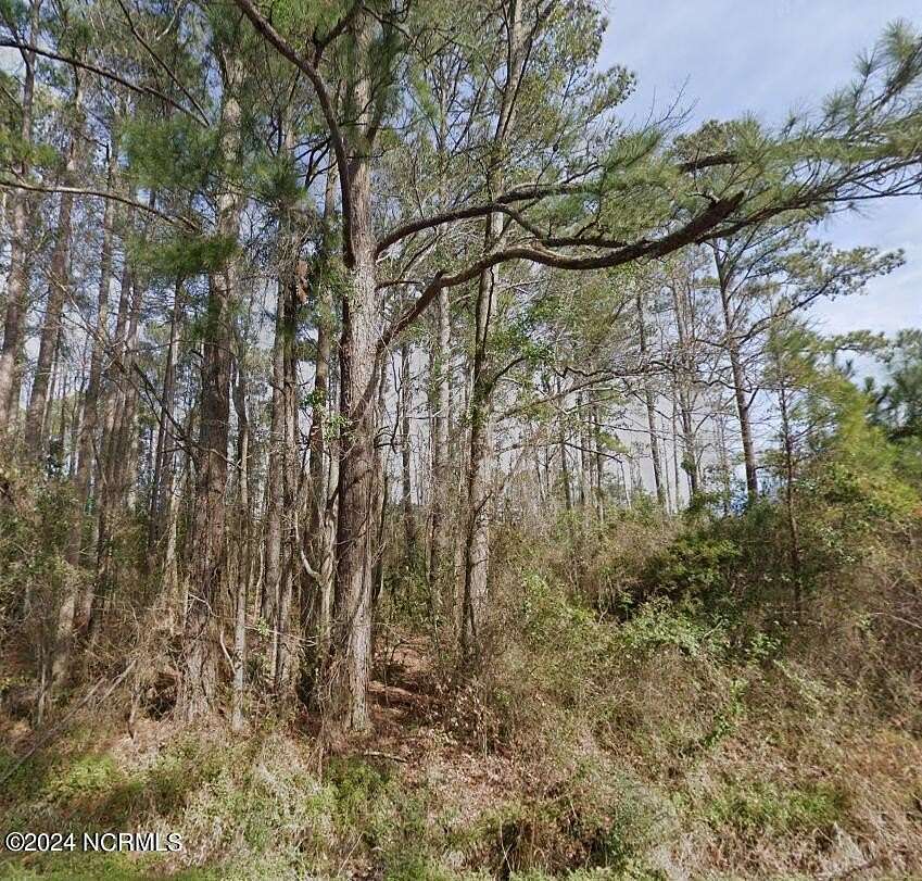 0.5 Acres of Residential Land for Sale in Jacksonville, North Carolina