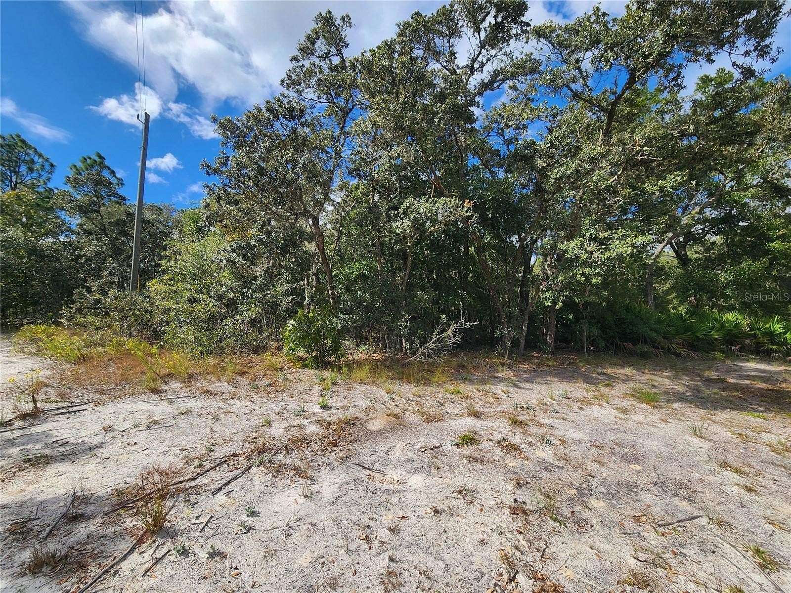 0.84 Acres of Land for Sale in Dunnellon, Florida