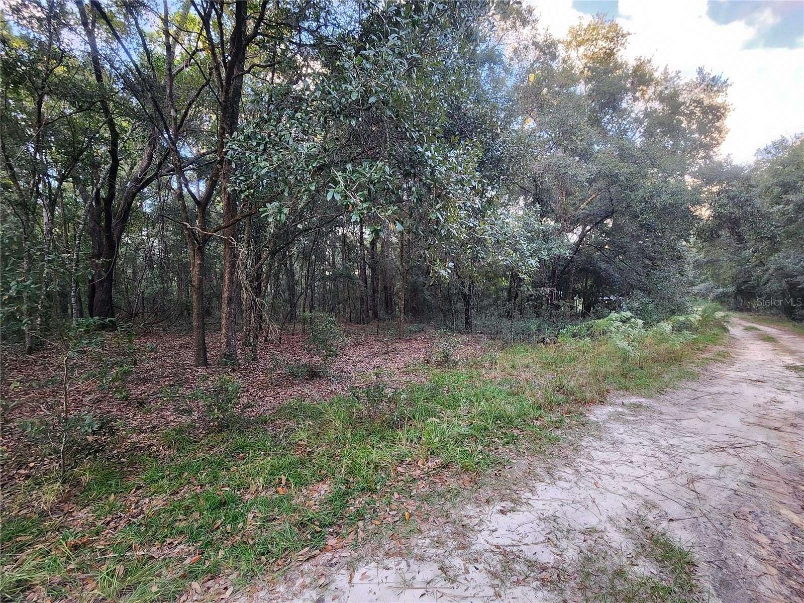 0.23 Acres of Residential Land for Sale in Inverness, Florida