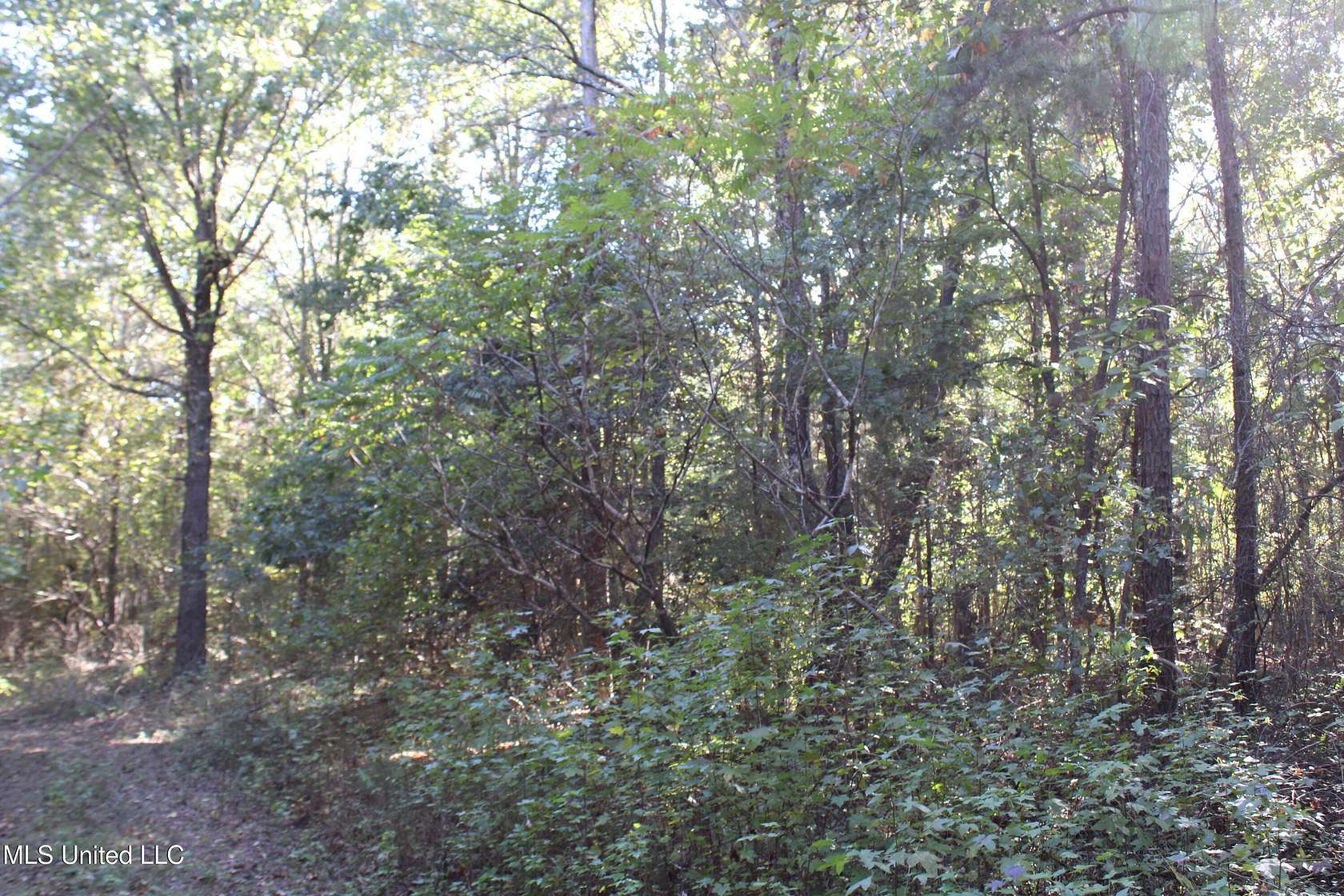 4.75 Acres of Residential Land for Sale in Potts Camp, Mississippi