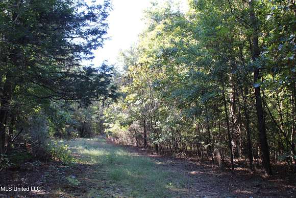 4.5 Acres of Residential Land for Sale in Potts Camp, Mississippi