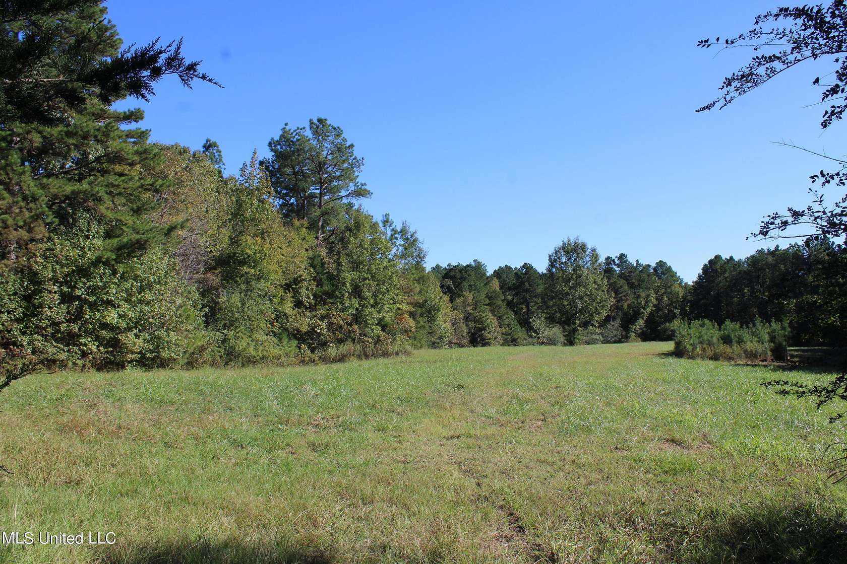 4.5 Acres of Residential Land for Sale in Potts Camp, Mississippi