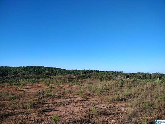 8 Acres of Residential Land for Sale in Wedowee, Alabama