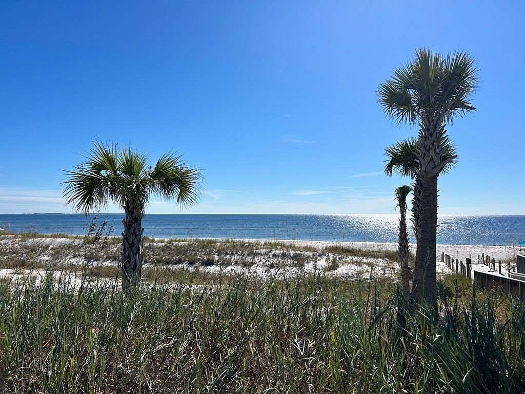 0.25 Acres of Residential Land for Sale in Mexico Beach, Florida