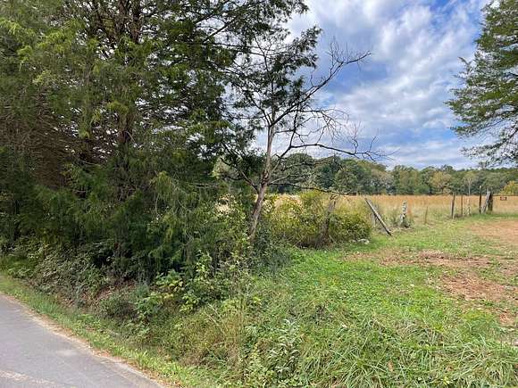 11.5 Acres of Agricultural Land for Auction in Rock Spring, Georgia