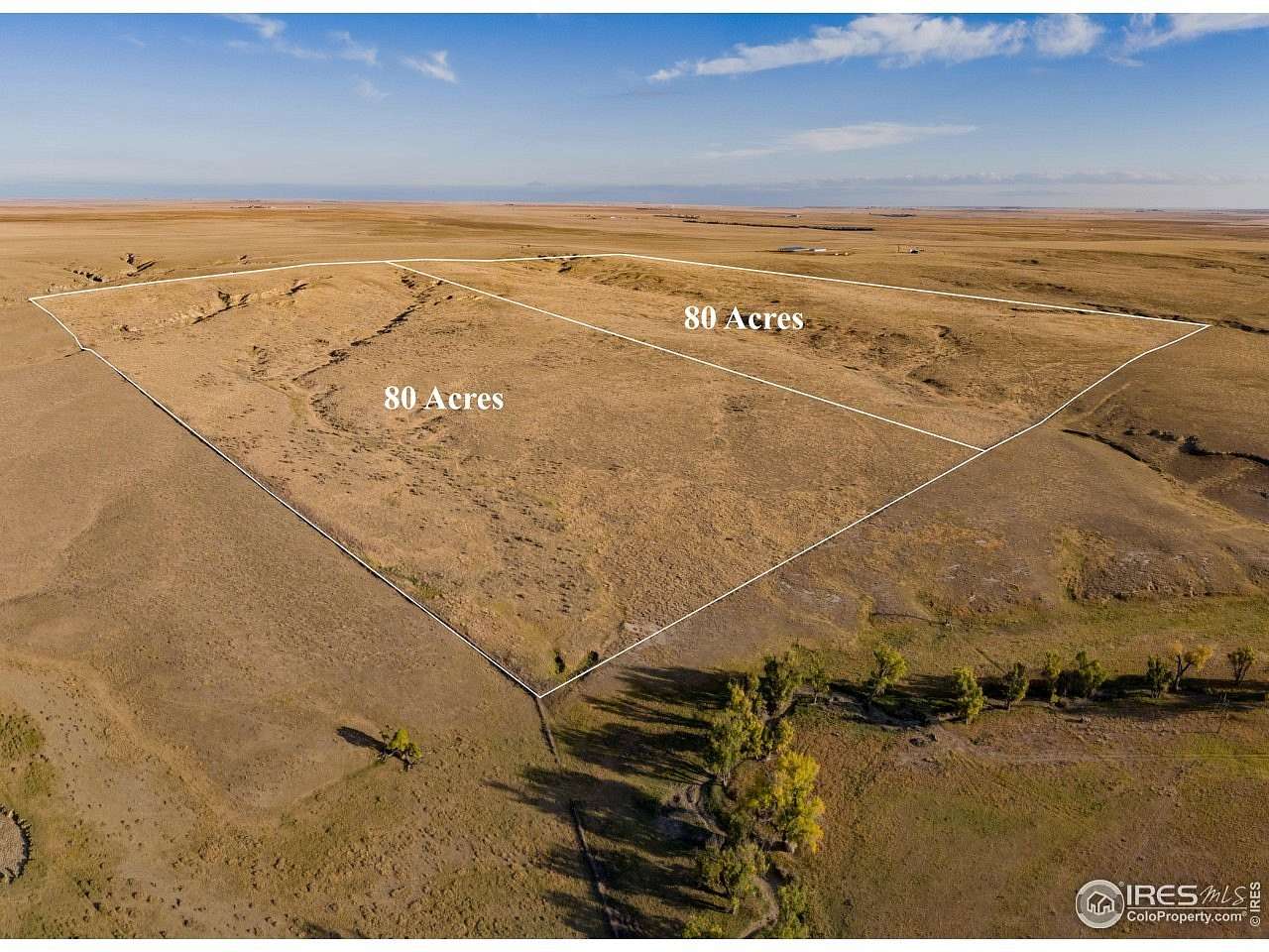 160 Acres of Agricultural Land for Sale in Briggsdale, Colorado