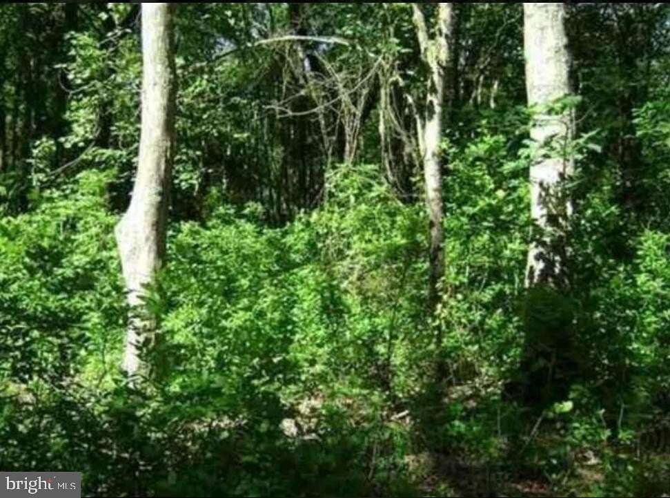 38.86 Acres of Recreational Land for Sale in Milmay, New Jersey